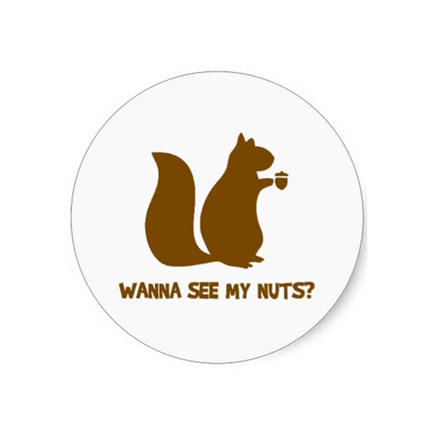 Buy Cheap Sticker Wanna See My Nuts | Goldenplazadistributors.com