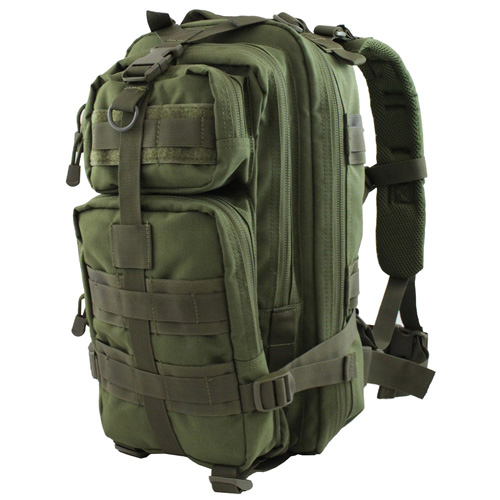 räven 20 backpack review